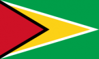 220px-Flag_of_Guyana.svg1